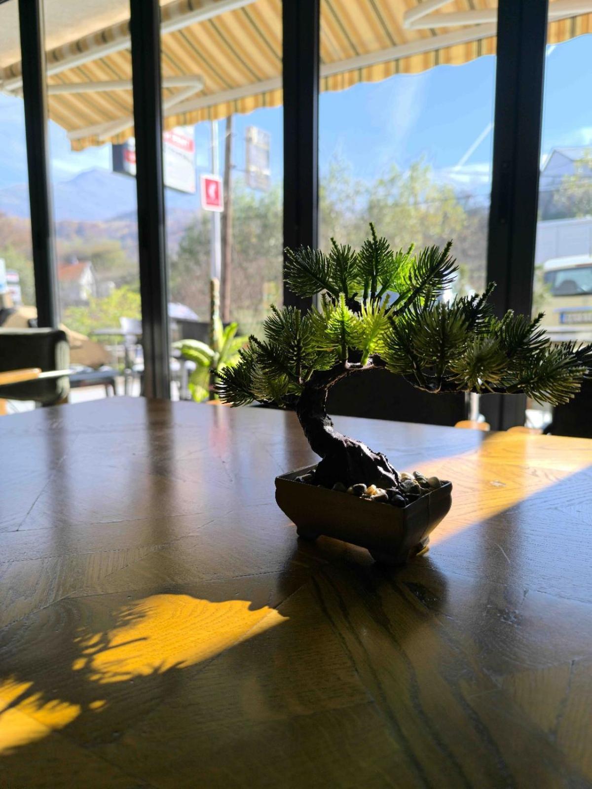 Mountain House - Brezovica Lejlighed Eksteriør billede